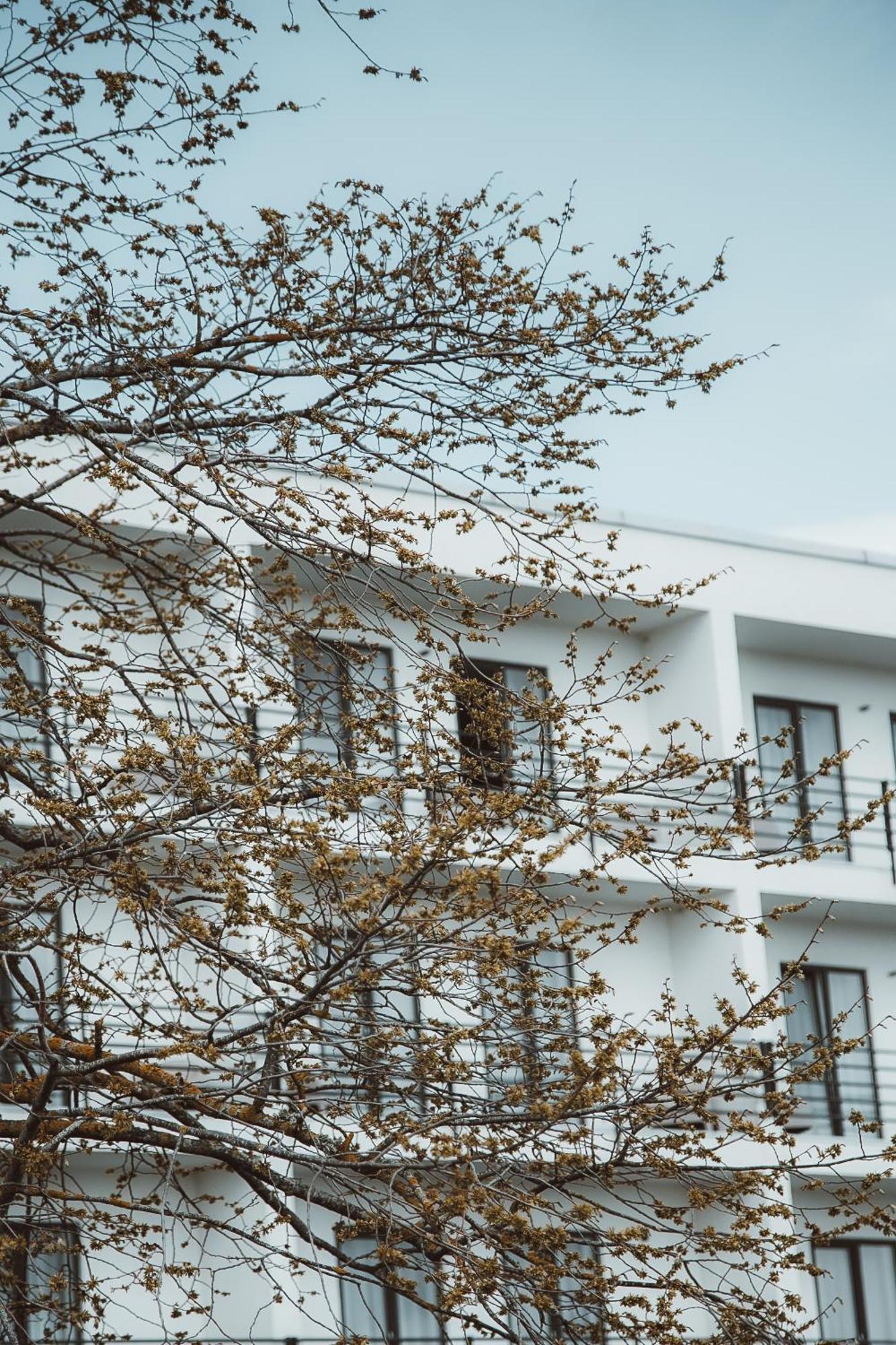 Oe Seaside Suites & Spa Kuressaare Eksteriør bilde